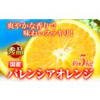 みかん 柑橘類 オレンジ 秀品 希少な バレンシアオレンジ 5…