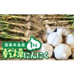 野菜類 訳あり 渥美半島産 ニンニク 乾燥 1kg