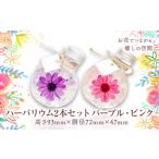 家具 インテリア 寝具 収納 ハーバリウム2本セット