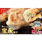 ふるさと納税 餃子 北海道 苫小牧市 ぎょうざの宝永 宝永餃子250g入(10個入)×4袋 合計1kg T004-003