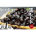魚貝類 しじみ 十三湖のしじみ 活しじみ 大粒 約1kg