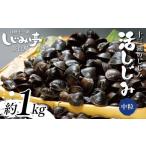 fu.... налог рыба моллюски ... Aomori префектура средний . блок 10 три озеро. ....... средний шарик примерно 1kg Nara магазин . корбикула рыба моллюски . орнитин 10 три F6N-162