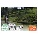 体験チケット 駒の里 十和田で乗馬トレッキング45分