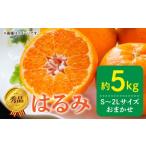 秀品 はるみ 和歌山 有田 S~2Lサイズ 大きさお任せ