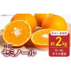 みかん 柑橘類 2027年 訳あり セミノール