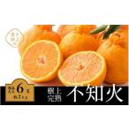 ふるさと納税 みかん・柑橘類 デコポン 和歌山県 和歌山市 不知火 希少な樹上完熟 秀品大玉 6個入 (約2kg)　 2026年2月下旬頃〜4月中旬頃まで発送 KT2