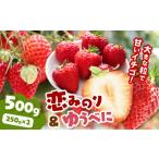 ふるさと納税 いちご 熊本県 玉名市 恋みのりとゆうべにセット 500g | 果物 くだもの フルーツ いちご 苺 イチゴ 恋みのり ゆうべに セット 食べ比べ ジュー…