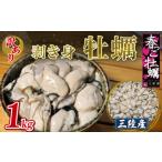ふるさと納税 牡蠣 生牡蠣 岩手県 大船渡市 訳あり 春っこ牡蠣 1kg 加熱用 むき身 冷蔵 10月〜4月発送