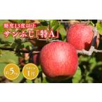 ふるさと納税 りんご 青森県 平川市 1月 サンふじ約5kg 糖度13度以上(14〜20玉程度） 青森県 平川市 森山商店 青森りんご 林檎 リンゴ りんご サンふじ ふじ …