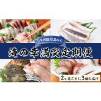 旬の鮮魚等 定期便 全3回 海の幸満喫定期便