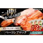 肉 ハム 加工肉 全3回定期便 ベーコンブロック