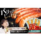 肉 ソーセージ ウインナー 全3回定期便 特製ウインナー 5本…