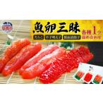 ふるさと納税 魚貝類 たらこ 宮城県