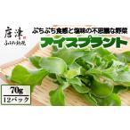アイスプラント 70g×12パック