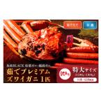 ふるさと納税 カニ 松葉ガニ 京都府 京丹後市 訳あり　 蟹の匠 魚政 茹で　プレミアムズワイガニ 魚政BLACK（松葉ガニ・越前ガニ） 特大サイズ（1200〜1300g）…