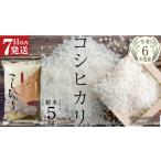 ふるさと納税 米 コシヒカリ 茨城県 桜川市 令和6年産 コシヒカリ 精米 5kg ( 5kg × 1袋 ) (茨城県共通返礼品 かすみがうら市) 米 ごはん もっちり 甘い コ…