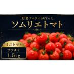トマト ミニトマト 訳あり 完熟ミニトマト