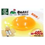 CI033 12回 定期便 雲仙たまごLサイズ 40個