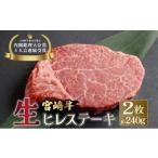 ふるさと納税 牛肉 ヒレ 宮崎県 串間市 KU206-2 冷蔵・真空包装 希少部位 A4等級以上 宮崎牛ヒレステーキ2枚（約240g） スーパーほりぐち 2枚（約240g）