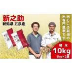 ふるさと納税 米 新潟県 五泉市 令和7年産米 「わくわく農場」の五泉産新之助 精米 10kg （5kg×2袋）新潟県 五泉市 わくわく農場