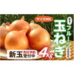 fu.... налог овощи вид шар лук порей Hyogo префектура - предшествующий предварительный заказ новый шар фрукты шар лук порей 4kg размер различный 2026 год 3 месяц средний . примерно .. последовательный отправка предположительно | новый шар лук порей tama лук-батун Awaji Island. шар лук порей...