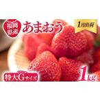 あまおう 1000g