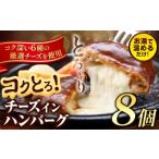 ふるさと納税 肉 ハンバーグ 熊本県 玉東町 ハンバーグ チーズインハンバーグ 8個 湯せん で 温めるだけ デミグラス 《30日以内に出荷予定(土日祝除く)》 簡単…