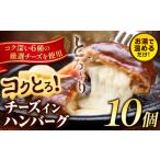 ふるさと納税 肉 ハンバーグ 熊本県 玉東町 ハンバーグ チーズインハンバーグ 10個 湯せん で 温めるだけ デミグラス 《30日以内に出荷予定(土日祝除く)》 簡…