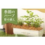 花 苗木 季節のハーブ寄せ植え ハーブ 苗 植物