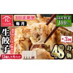 ふるさと納税 餃子 鹿児島県 さつま町 s601-A 毎月・定期便3回 タレ付き 鹿児島うんまか豚生餃子(計48個・12個入り×4P×3回) 鹿児島 冷凍 にんにく・ニラ不使…