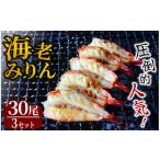 ふるさと納税 干物 静岡県 南伊豆町 干物 旭洋丸水産 海老みりん 3セット　 伊豆 海老 えび 海鮮 みりん干し みりん 海老みりん ブラックタイガー 大人気 無添…
