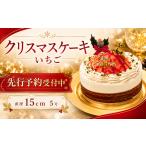 ケーキ カステラ フルーツケーキ クリスマスケーキ
