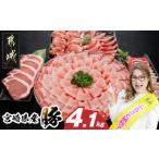 ふるさと納税 豚肉 セット 宮崎県 都城市 宮崎県産豚わくわく4.1kgセット(真空)_AC-8403-s_(都城市) 豚肉 豚肉セット 宮崎県産豚 しゃぶしゃぶ バラ 焼肉 切り…