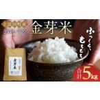 ふるさと納税 米 きぬむすめ 和歌山県 上富田町 令和7年産 上富田町産 金芽米 きぬむすめ 5kg 井戸本農園