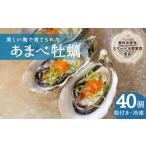 ふるさと納税 牡蠣 生牡蠣 徳島県 海陽町 あまべ牡蠣 冷凍 40個 約2kg 牡蠣 シングルシード 生食用 殻付き かき カキ オイスター 生ガキ 生牡蠣 生がき 生かき