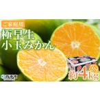ふるさと納税 果物類 みかん 愛媛県 西予市 極早生小玉みかん ご家庭用 約4kg ご家庭用 果物 フルーツ みかん ミカン 蜜柑 オレンジ 柑橘 食べて応援 特産品 …
