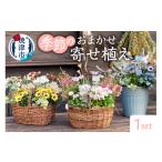 花 a21-055 季節のおまかせ寄せ植え
