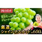 ぶどう マスカット シャインマスカット 2026年出荷