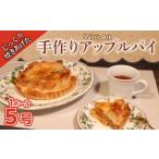焼菓子 チョコレート アップルパイ 5号 1ホール