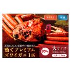ふるさと納税 カニ 松葉ガニ 京都府 京丹後市 訳あり　 蟹の匠 魚政 茹で　プレミアムズワイガニ 魚政BLACK（松葉ガニ・越前ガニ） 大サイズ（1000〜1100g） 1…