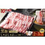 豚肉 しゃぶしゃぶ 10営業日以内発送 お肉
