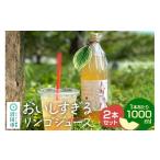 果汁飲料 りんご おいしすぎるリンゴジュース 1000ml×2本