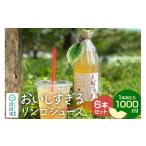 果汁飲料 りんご おいしすぎるリンゴジュース 1000ml×6本