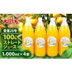 愛果28号 紅まどんな と同品種 みかん 100%