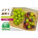 ふるさと納税 ぶどう マスカット 愛媛県 松山市 8月下旬頃から発送 シャインマスカット 約550g ( 大1房 ) + 彩り葡萄パック 約270g ( 2パック ) | ぶどう シ…