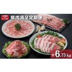 豚肉 ロース 定期便 全3回 豚肉満足定期便 2.25kg×3回