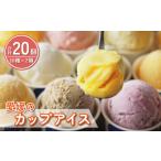 アイス ヨーグルト 愛媛のカップ 20個