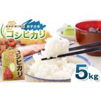 ふるさと納税 米 ヒノヒカリ 長野県 松本市 「あずさ米」コシヒカリ5kg│信州 長野県 松本市 コシヒカリ 5kg 米 こめ コメ 白米 精米 お取り寄せ 贈答 ごはん …