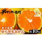 ふるさと納税 果物類 みかん 和歌山県 美浜町  先行予約 ゆら早生 みかん 濃厚な味わい 約10kg 希少品種《有機質肥料100％》極早生 ｜ 由良 ゆら 早生 わせ 柑…