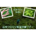 体験チケット 白神アロマ研究所 5名様まで参加可能